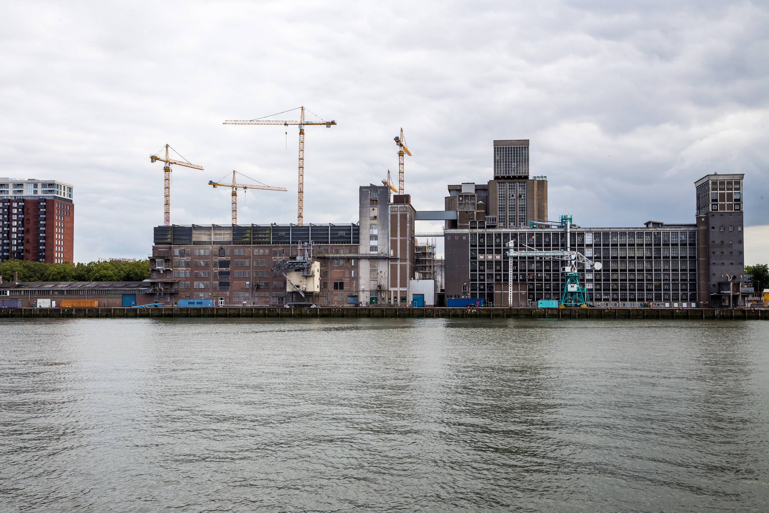 2019 Niederlande 019